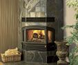 What is Zero Clearance Fireplace Inspirational Bay Front Gas Fireplace Interior Design