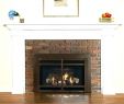 White Fireplace Mantel Surround Elegant Gray Fireplace Mantel – Cocinasaludablefo
