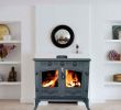 Wood Burning Fireplace Accessory Lovely Woodburner New Cast Iron Log Burner Multifuel Wood Burning 12kw Stove Ja006