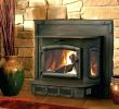 Wood Burning Fireplace Blower Inserts Best Of Wood Fireplace Inserts with Blowers – Detoxhojefo