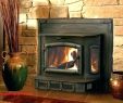 Wood Burning Fireplace Blower Inserts Best Of Wood Fireplace Inserts with Blowers – Detoxhojefo