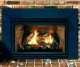 Wood Burning Fireplace Blower Inserts Luxury Fireplace Fan for Wood Burning Fireplace – Ecapsule