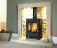 Wood Burning Stoves Fireplace Insert Beautiful Corner Wood Burning Fireplace Inserts with Blower Product