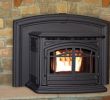 Wood Burning Stoves Fireplace Insert Beautiful Enviro M55 Cast Iron Pellet Fireplace Insert – Inseason