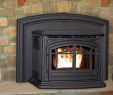 Wood Burning Stoves Fireplace Insert Beautiful Enviro M55 Cast Iron Pellet Fireplace Insert – Inseason