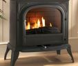 Wood Burning Vs Gas Fireplace Unique Ekofires 6010 Flueless Gas Stove Home