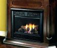 Wood Fireplace Blower Beautiful Wood Burning Fireplace Doors with Blower – Popcornapp