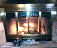 Wood Fireplace Blower Elegant Full Size Wood Stove Heat with Fan Pellet Chimney Water