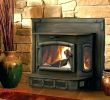 Wood Fireplace Blower Insert Awesome Wood Fireplace Inserts with Blowers – Detoxhojefo