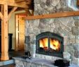 Wood Fireplace Blower Luxury Wood Burning Fireplace Glass Doors – Punchng