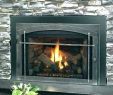 Wood Fireplace Insert for Sale Awesome Wood Burning Fireplace Inserts for Sale – Janfifo