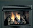 Wood Fireplace Inserts for Sale Fresh Wood Burning Stove Insert for Sale – Dilsedeshi