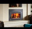Wood Fireplace Inserts with Blower New Flush Pellet Insert Our Home