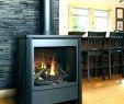 Wood Fireplace with Gas Starter Awesome Convert Wood Burning Stove to Gas – Dumat