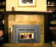 Wood Fireplace with Gas Starter Fresh Convert Wood Fireplace to Gas Cost Near Me Co – Morbanfo