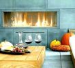 Woodburning Fireplace Insert Lovely Modern Wood Burning Fireplace Inserts Contemporary Gas