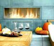 Woodburning Fireplace Insert Lovely Modern Wood Burning Fireplace Inserts Contemporary Gas