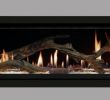 Xtraordinaire Fireplace Unique Linear Archives — Page 2 Of 3 — Vaglio