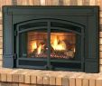 Yodel Fireplace Inserts Awesome Woodburning Stove Inserts – Globalproduction