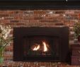 Zero Clearance Direct Vent Gas Fireplace Beautiful 31 1 4" Franklin Medium Cf Direct Vent Gas Insert