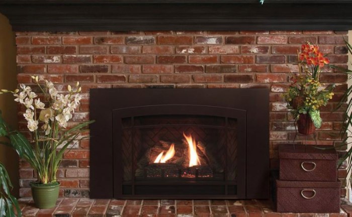 Zero Clearance Direct Vent Gas Fireplace Beautiful 31 1 4" Franklin Medium Cf Direct Vent Gas Insert