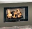 Zero Clearance Fireplace Doors Best Of Home Bottled Pressed Gas Pressure Reducing Regulator