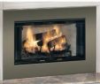 Zero Clearance Fireplace Doors Best Of Home Bottled Pressed Gas Pressure Reducing Regulator