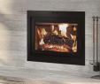 Zero Clearance Fireplace Doors Unique Wood Zero Clearance Archives — Vaglio