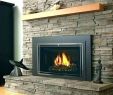 Zero Clearance Fireplace Insert Elegant Wood Burning Fireplace Inserts for Sale – Janfifo