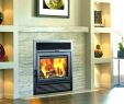 Zero Clearance Fireplace Insert Fresh Zero Clearance Fireplace Insert Vs Pellet – Paulmcgregor