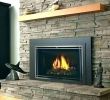 Zero Clearance Wood Burning Fireplace Luxury Wood Burning Fireplace Inserts for Sale – Janfifo