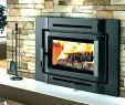 Zero Clearance Wood Burning Fireplace Reviews Elegant Prefabricated Wood Burning Fireplace – Dlsystem