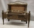 1800's Fireplace Mantels Fresh Antique Late 1800 S Cast Iron ornate Gas Fireplace Insert