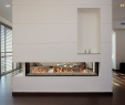 2 Sided Fireplace Insert Lovely Direct Vent Gas Fireplaces