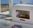 2 Sided Fireplace Insert Lovely Spark Modern Fires