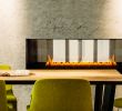 2 Sided Fireplace Luxury Spark Modern Fires