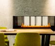 2 Sided Fireplace Luxury Spark Modern Fires