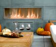 2 Sided Fireplace New Spark Modern Fires