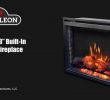 220 Volt Electric Fireplace Beautiful Napoleon – Electric Fireplace City