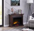 23 Electric Fireplace Insert Elegant Bold Flame 33 46 Inch Electric Fireplace In Chestnut