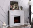 30 Inch Electric Fireplace Fresh 40 Inch Electric Fireplace Insert