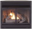 36 Gas Fireplace Insert Fresh Gas Fireplace Inserts Fireplace Inserts the Home Depot