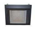 36 Gas Fireplace Insert Inspirational Gas Fireplace Inserts Fireplace Inserts the Home Depot