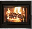 42 Electric Fireplace Insert Best Of Ambiance Fireplaces and Grills