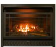 42 Electric Fireplace Insert Inspirational Pro Fireplaces 29 In Ventless Dual Fuel Firebox Insert