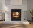 42 Inch Gas Fireplace Insert Unique Ambiance Fireplaces and Grills