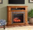 Alcott Hill Electric Fireplace Lovely Media Fireplace with Remote