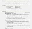 Amanda's Fireplace Awesome Free Download 45 Simple Process Documentation Template