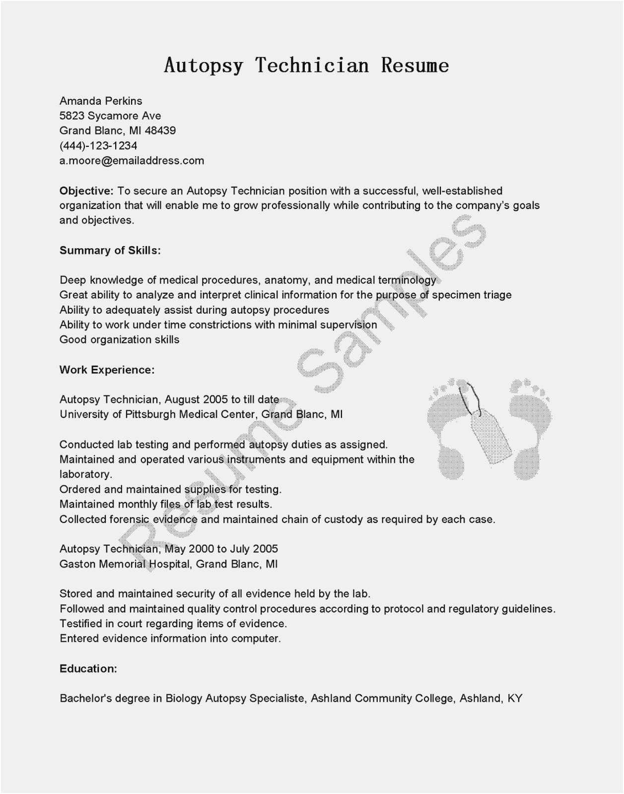 Free Download 45 Simple Process Documentation Template curriculum vitae free unique pr resume template elegant dictionary examples