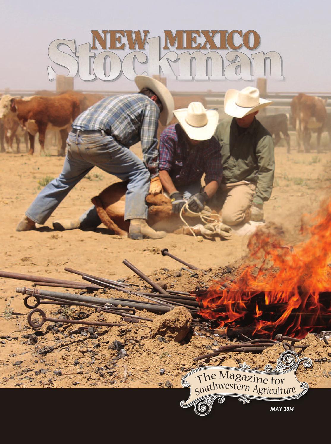 NMS May 2014 by Livestock Publishers issuu page 1